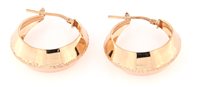 Orecchini Forever Gioielli Donna in Argento FGOR00774 - FGOR00774